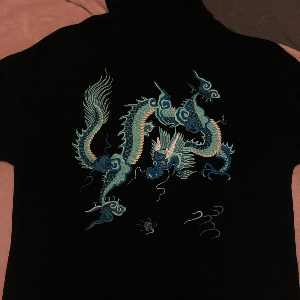 PacSun- Blue Dragon Hoodie